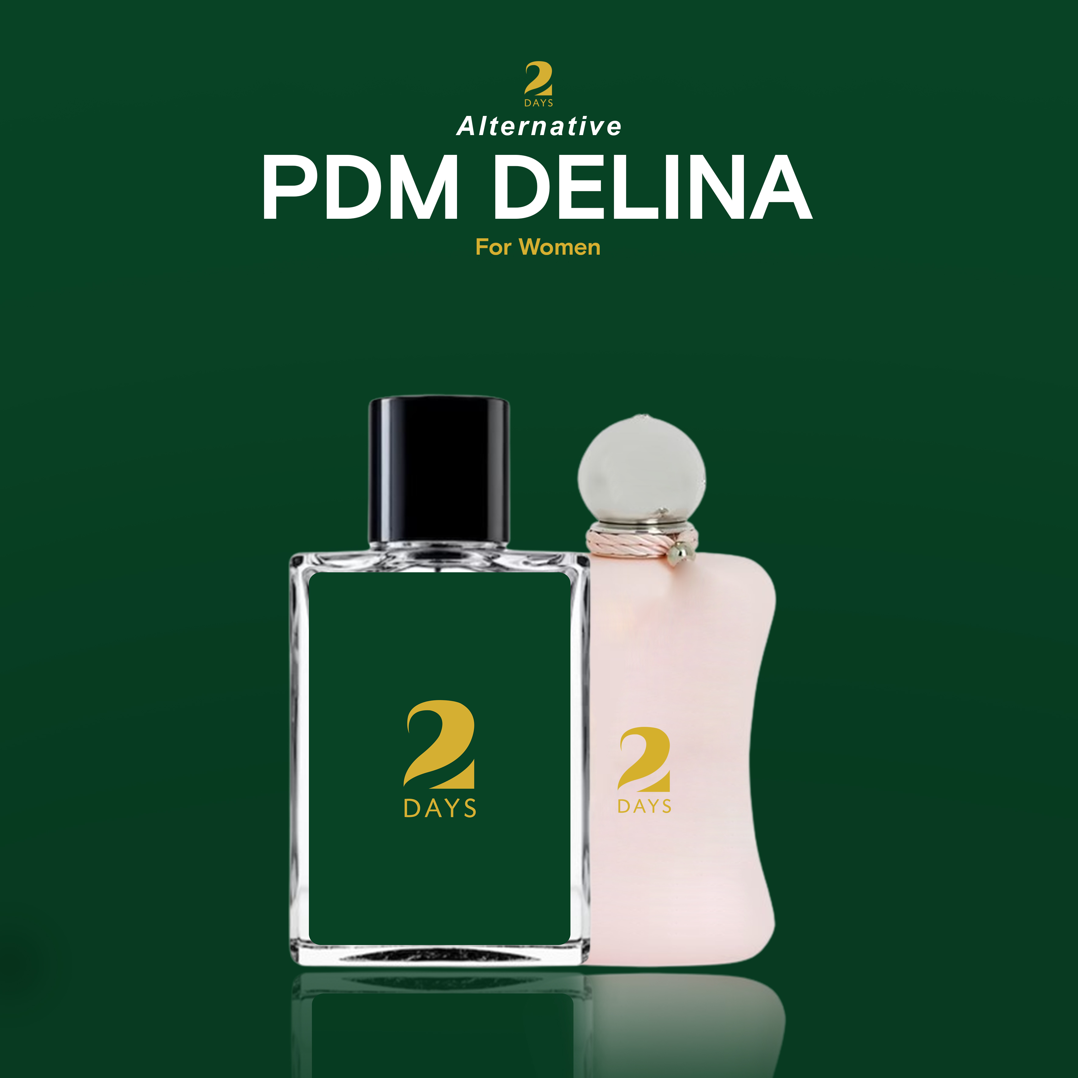 PDM DELINA 